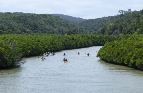 Frühling mit Yambaru Tour in frischem Grün