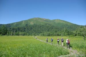 Oze, Gunma